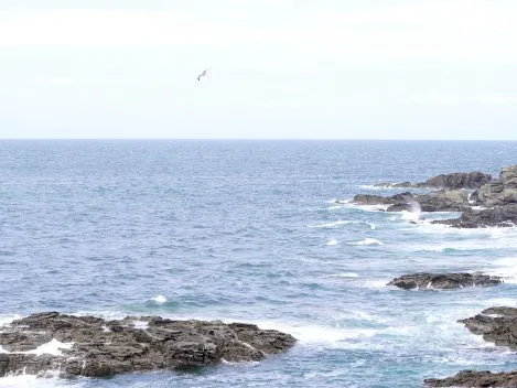 Une communication engagée pour deux parcs éoliens en mer